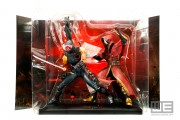 Ninja Gaiden 3 Collectors Edition