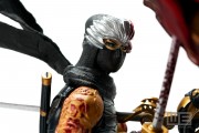 Ninja Gaiden 3 Collectors Edition